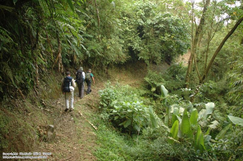 FOTO V mlžném pralese Monteverde v Kostarice: Geologické mapování v mlžném pralese Monteverde v Kostarice, Fotografie V mlžném pralese Monteverde v Kostarice: Geologické mapování v mlžném pralese Monteverde v Kostarice,