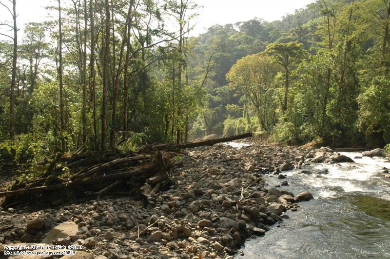 FOTO V mlžném pralese Monteverde v Kostarice: Geologické mapování v mlžném pralese Monteverde v Kostarice, Fotografie V mlžném pralese Monteverde v Kostarice: Geologické mapování v mlžném pralese Monteverde v Kostarice,