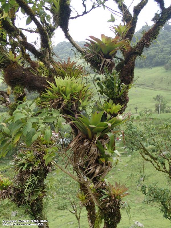 FOTO La Rueda, Nikaragua: La Rueda, lokalita geoparku Río Coco, Nikaragua, Fotografie La Rueda, Nikaragua: La Rueda, lokalita geoparku Río Coco, Nikaragua,