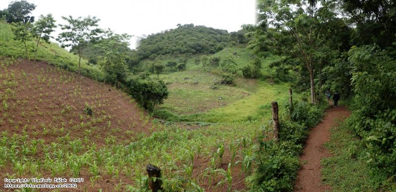 FOTO Poza la Muta, lokalita geoparku Río Coco, Nikaragu: Poza la Muta, lokalita geoparku Río Coco, NikaraguaMikrokaňon v konglomerátech skupiny Totogalpa, Nikaragua, Fotografie Poza la Muta, lokalita geoparku Río Coco, Nikaragu: Poza la Muta, lokalita geoparku Río Coco, NikaraguaMikrokaňon v konglomerátech skupiny Totogalpa, Nikaragua,