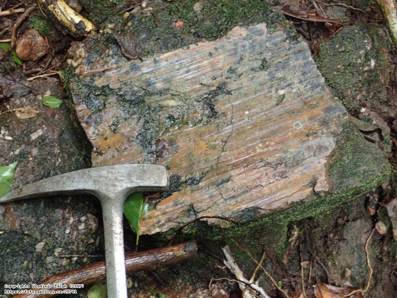 FOTO Poza la Muta, lokalita geoparku Río Coco, Nikaragu: Poza la Muta, lokalita geoparku Río Coco, NikaraguaMikrokaňon v konglomerátech skupiny Totogalpa, Nikaragua, Fotografie Poza la Muta, lokalita geoparku Río Coco, Nikaragu: Poza la Muta, lokalita geoparku Río Coco, NikaraguaMikrokaňon v konglomerátech skupiny Totogalpa, Nikaragua,