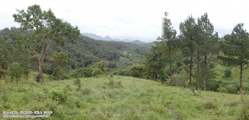 FOTO Minas de Cuje, lokalita geoparku Río Coco: Zlaté doly Minas de Cuje a okolí, lokalita geoparku Río Coco, Nicaragua, Fotografie Minas de Cuje, lokalita geoparku Río Coco: Zlaté doly Minas de Cuje a okolí, lokalita geoparku Río Coco, Nicaragua,