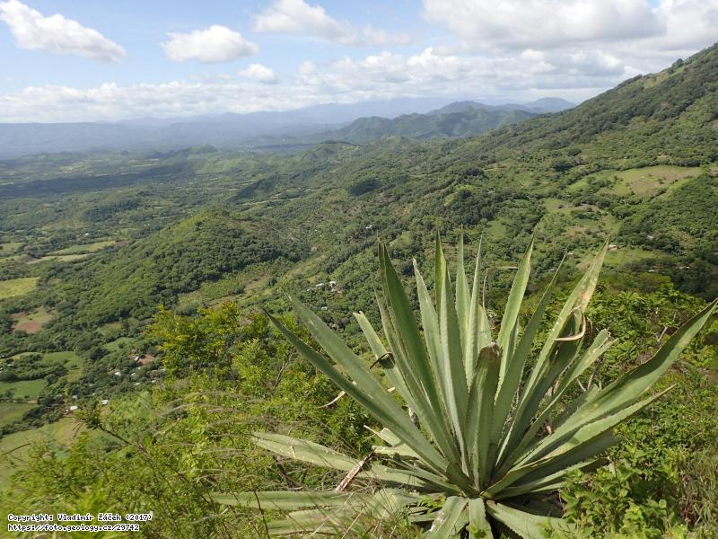 Fotografie Cerro Malacate, lokalita geoparku R�o Coco,: Cerro Malacate, lokalita geoparku R�o Coco, Nikaragua, 