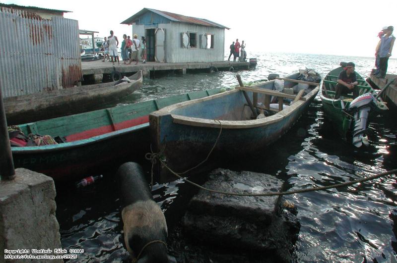 FOTO Bluefields, Nikaragua: Bluefields, Nikaragua, Fotografie Bluefields, Nikaragua: Bluefields, Nikaragua,