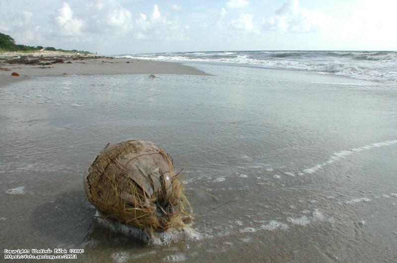 Fotografie Pearl Lagoon: Karibsk� pob�e�� a vesnice Pearl Lagoon, Nikaragua, 