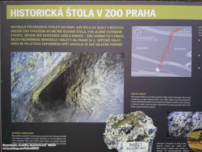 Fotografie : Historick tola v ZOO Praha, 