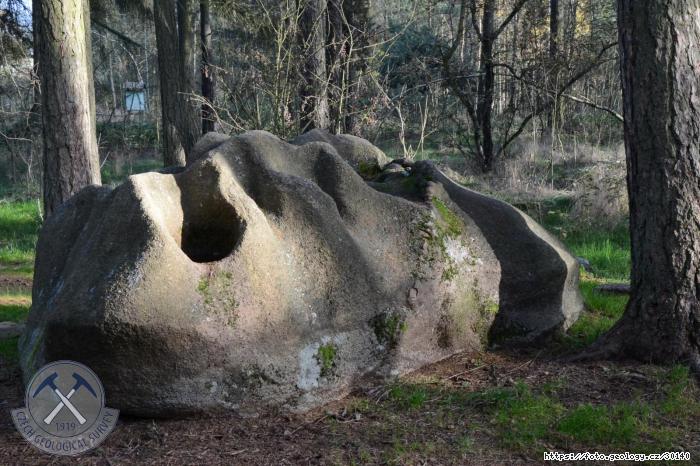 Fotografie Bo kmen u Sosn: Bo kmen u Sosn, Bo kmen u Sosn