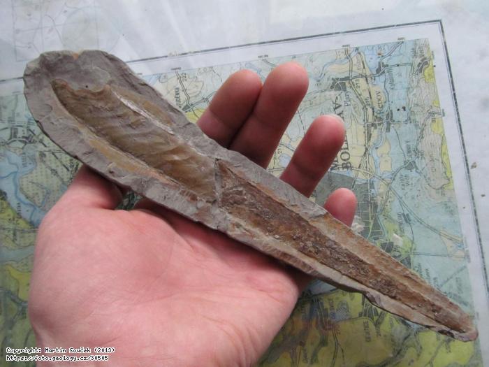 Fotografie epov: epov, epov