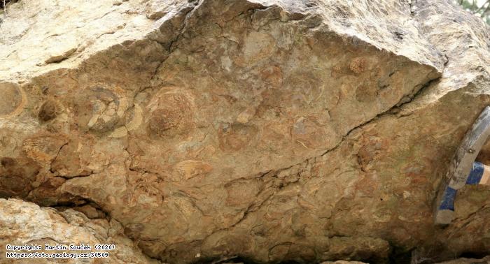 Fotografie Deb - Radou: Deb - Radou, Deb - Radou