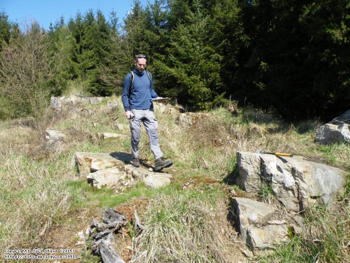 Fotografie bazln klastika: BAZLN KLASTIKA DEVONU, BA278