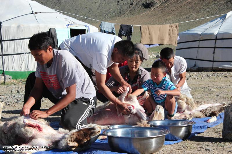 Photo Mongol Altai-50 expedition at the camp: Mongol Altai-50 expedition at the base camp in 2013, 