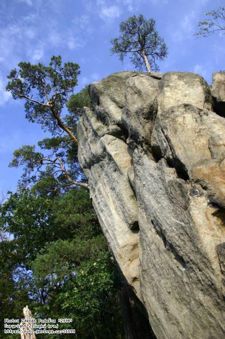 Fotografie Besteck skla: Besteck skla, Besteck skla