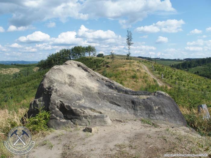 Fotografie ertv kmen Hostnsk: ertv kmen Hostnsk, ertv kmen (Hostnsk vrchy)