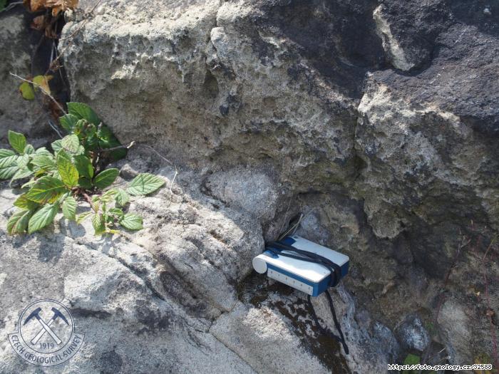 Fotografie ertv kmen Hostnsk: ertv kmen Hostnsk, ertv kmen (Hostnsk vrchy)