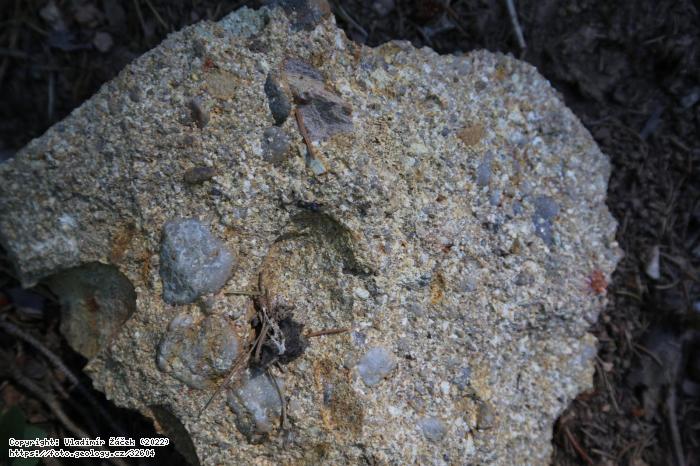 Fotografie Odlezelsk jezero: Odlezelsk jezero s vchozy slepenc na behu, 