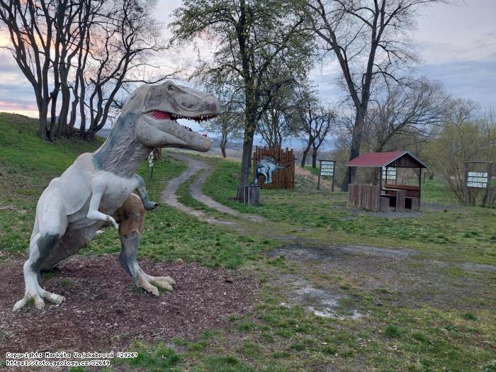Fotografie : �dol� dinosaur�, 