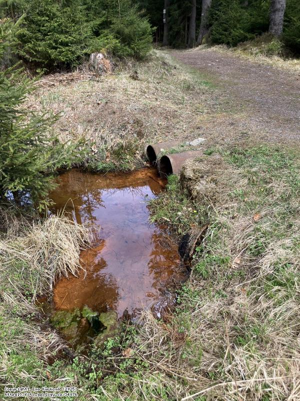 FOTO Farská kyselka: Farská kyselka, Smraďoch Fotografie Farská kyselka: Farská kyselka, Smraďoch