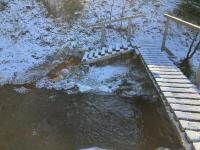 pramen v blízkosti Rudolfa a Gisely na druhé straně potoka. V jeho sousedst.. pramen v blízkosti Rudolfa a Gisely na druhé straně potoka. V jeho sousedst..