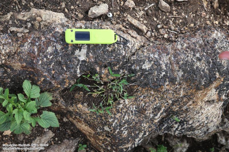 Fotografie Karbonatit s magnetitem v Tororo: Karbonatit s magnetitem, Tororo, v. Uganda, 