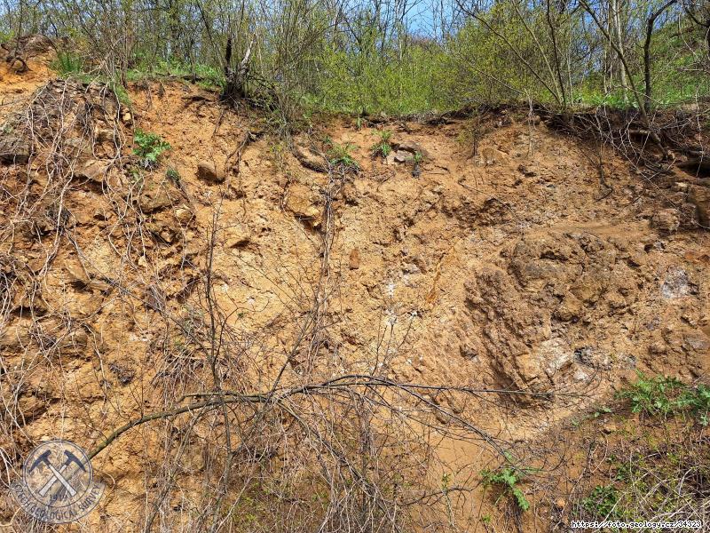 FOTO Jenišovický vrch: Jenišovický vrch, Jenišovický vrch Fotografie Jenišovický vrch: Jenišovický vrch, Jenišovický vrch