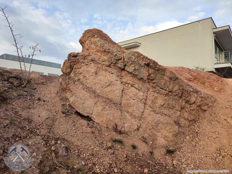 Fotografie : Helgoland, devonsk� klastika, 3603