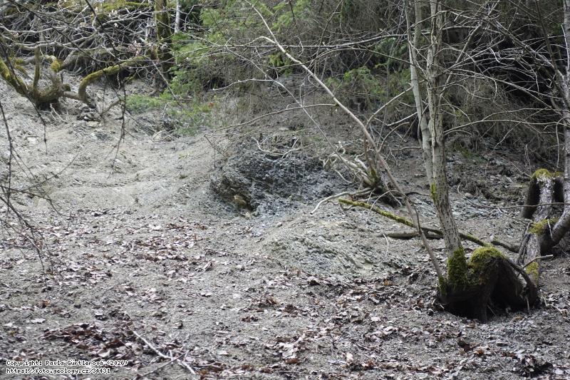 FOTO Písečná: Písečná, Písečná Fotografie Písečná: Písečná, Písečná