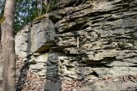 Odkryvy bazálních sedimentů vrchní křídy., Markéta Vajskebrová, 2026
