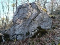 fosiliferní vápence na lokalitě Nad kostelíčkem, Helena Gilíková, 2025 fosiliferní vápence na lokalitě Nad kostelíčkem, Helena Gilíková, 2025