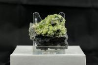 Výstavní vzorek bazanitu z lomu ve Smrčí u Semil s částí peridotitu., J..