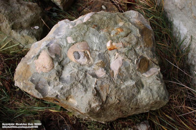 FOTO : Dubčany-lom, Fotografie : Dubčany-lom,