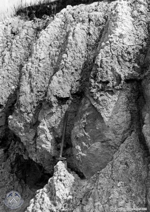 Fotografie : Stednzrnn, slab jilnat psky podlon serie miocennch sloj. Erodovan stny odkryvu se smrovacmi trhlinami a mrazovmi zjevy (pskovna nad ermnky)., ermnky