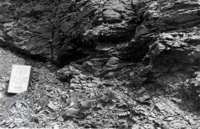 Fotografie : Detail vchozu uheln sloje vchodn od Liboue. Dole uprosted nkolikacentimetrov krystaly sdrovce., Libou
