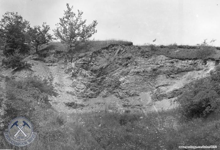 Fotografie : Zpadn stna odkryvu ve vyplench miocnnch jlovcch., Dolany
