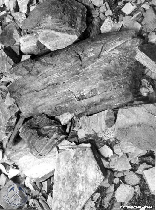 Fotografie Porfyroidy z diabasovho komplexu siluru: lomky porfyroid z diabasovho komplexu siluru. Doln Albeice v Rchorech, Doln Albeice