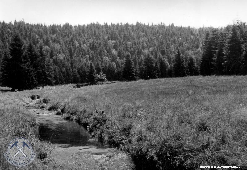 Fotografie : Fl�jsk� potok v p�ehr.m�st�, pohled proti jeho proudu, Fl�je