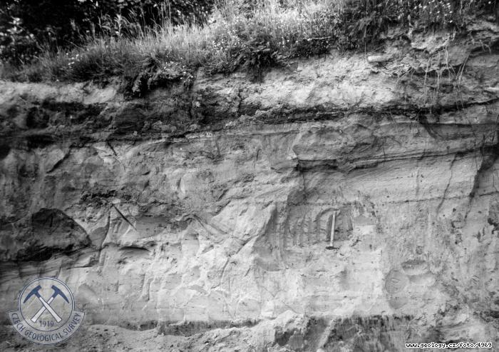 Fotografie : Uloen tetihornch psk v zpadn stn pskovny - polodetail., Marov