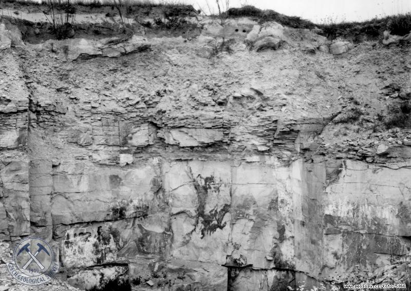 Fotografie : Mrazem naechran opukov zvtralina s pokryvem vtch psk. Lom 193, pod tovrnou Lini, Mlazice