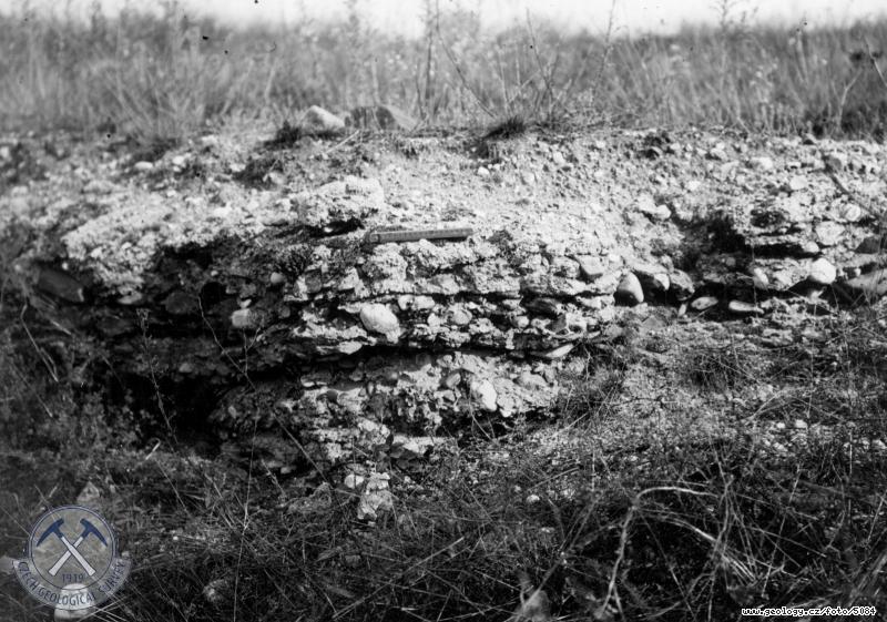 Fotografie : Opuštěný štěrkovník č.61. Pleistocenní terasový slepenec R1-detail., Vlíněves