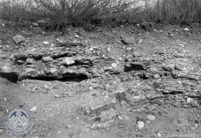 Fotografie : Opuštěný štěrkopískovník č.61. Pleistocenní terasový slepenec R1., Vlíněves