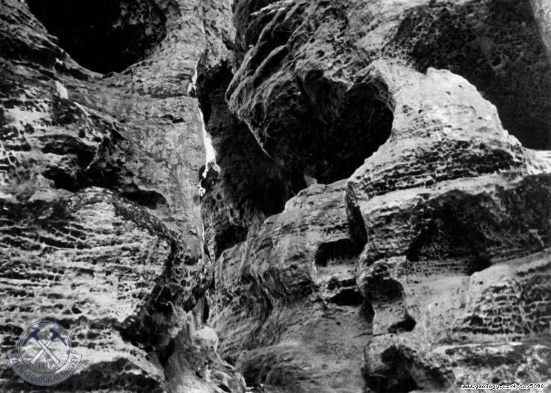 Fotografie : Sklun v pskovci, vyvtral dutiny aeroxysty,mezi hradem Kokon a Lhotkou, Kokonsk dol