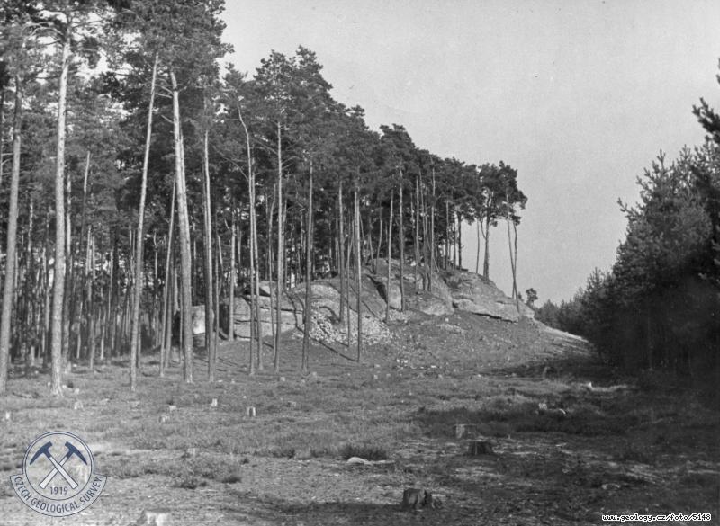 Fotografie : Svdeck pskovcov skly na temeni hbetu., Libchov