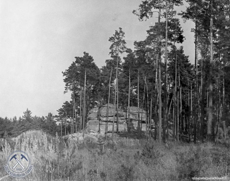 Fotografie : Svdeck pskovcov skly na temeni hbetu., Libchov