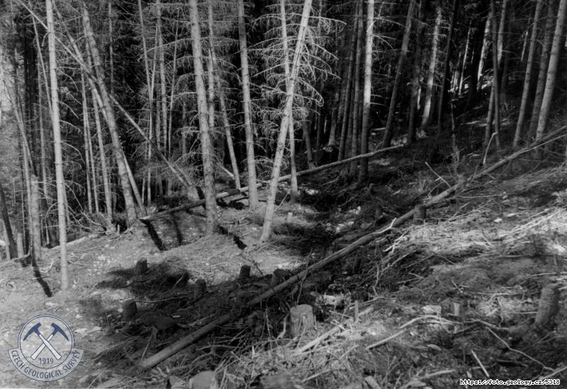 Fotografie : Stup�ovit� propadlina vznikl� sesuvem svahov� hl�ny nad v�lomem pro prav� pil�� hr�ze zas�hla a� do lesa v povodn� partii., K�imov