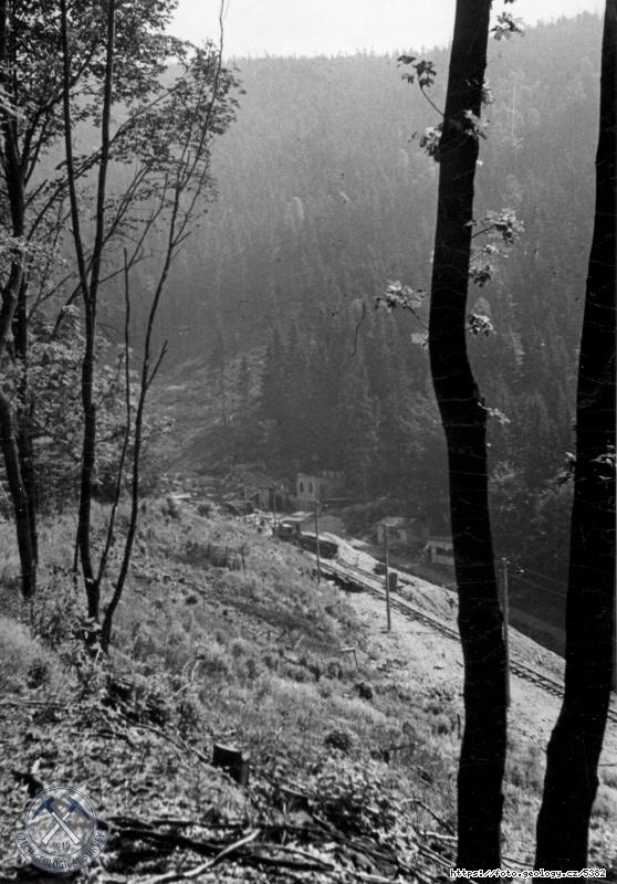 Fotografie : Situace port�lu prac.�toly (viz inv.�.3646) pohled shora prav�ho svahu Pekelsk�ho potoka proti jeho proudu., �enbach