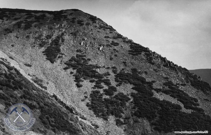 Fotografie : Železná hora od Kozích hřbetů, Železná hora