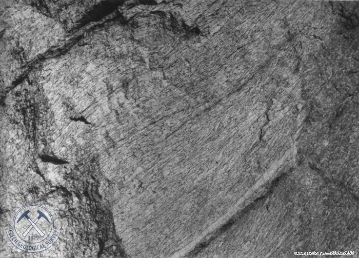 Fotografie : Detail vchozu migmatit, Pust Kamenice
