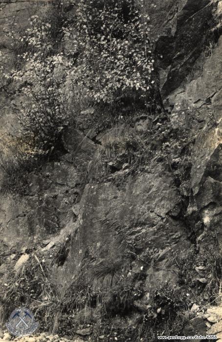 Fotografie : Vchodn st defil skly v zezu trati na pravobenm vltavskm svahu v. od st Mlnskho potoka, Mlnsk potok