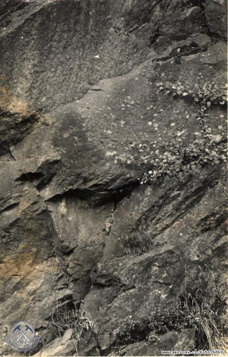 Fotografie : Vchodn st defil skly v zezu trati na pravobenm vltavskm svahu v. od st Mlnskho potoka, Mlnsk potok