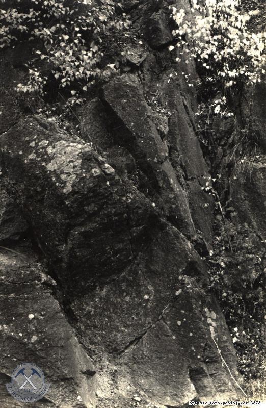 Fotografie : Biotitick� granodiorit porfyrick� s ojedin�l�mi uzav�eninami biotitick� ruly, v. od Ml�nsk�ho potoka, Ml�nsk� potok