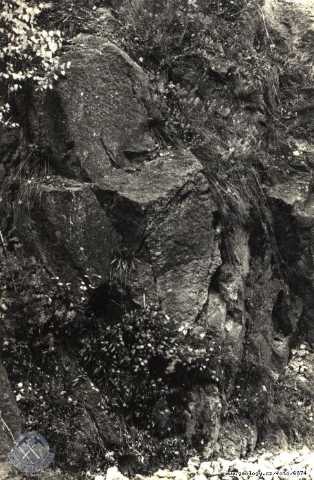 Fotografie : Biotitick granodiorit porfyrick s ojedinlmi uzaveninami biotitick ruly, v. od Mlnskho potoka, Mlnsk potok